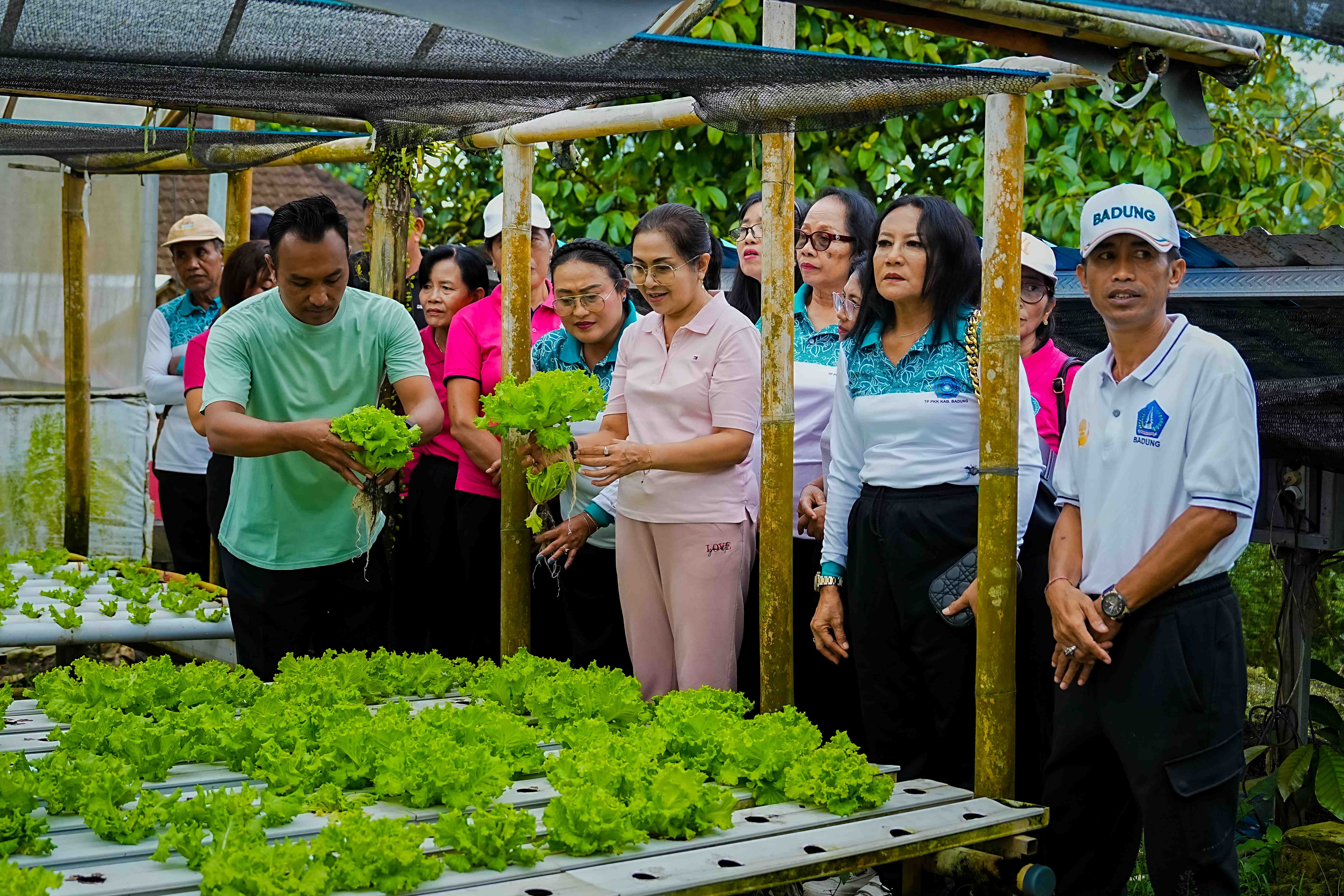 Dorong Ketahanan Pangan